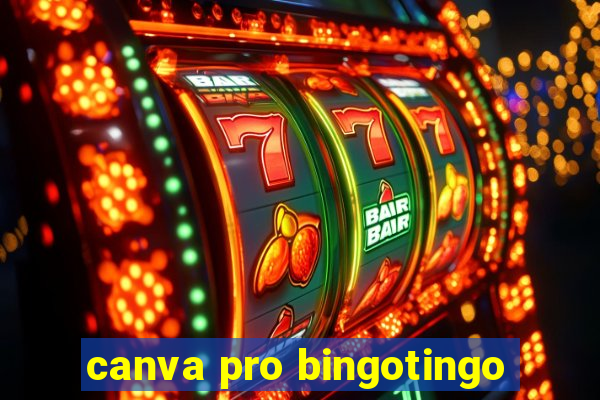 canva pro bingotingo